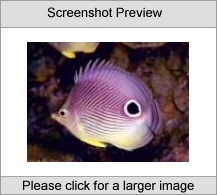 7art Tropical Fish ScreenSaver Screenshot